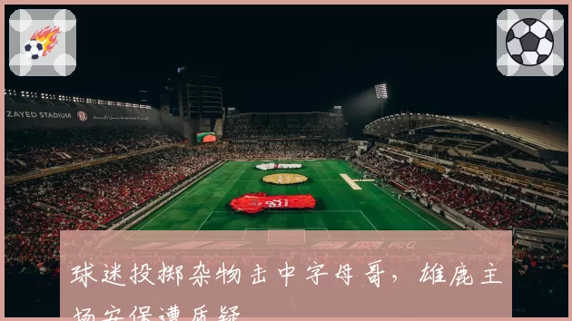 球迷投掷杂物击中字母哥，雄鹿主场安保遭质疑