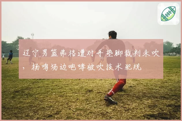 辽宁男篮弗格遭对手垫脚裁判未吹，杨鸣场边咆哮被吹技术犯规