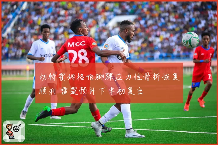 切特霍姆格伦脚踝应力性骨折恢复顺利 雷霆预计下季初复出